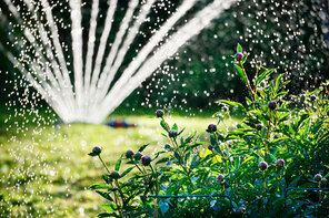 Smart-Home-Gartenbewässerung Smart-Home-Gartenbewässerung